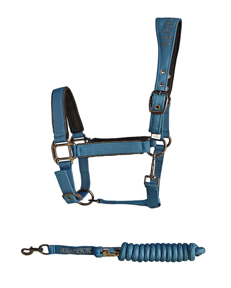 Hansy Halter and Lead rope