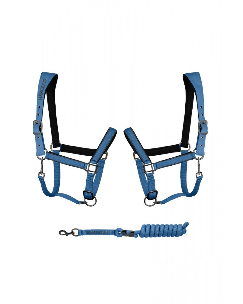 Hansy Halter and Lead rope