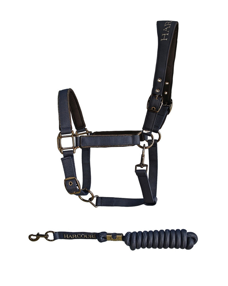 Hansy Halter and Lead rope