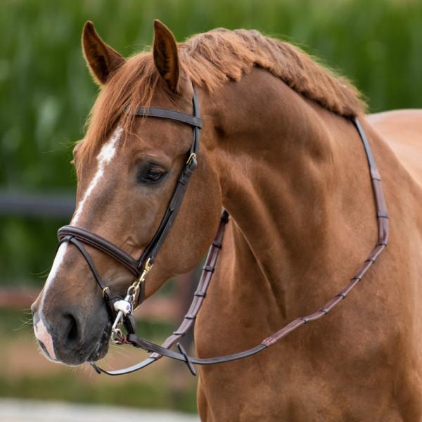 One Equestrian trinse med tøyler brun