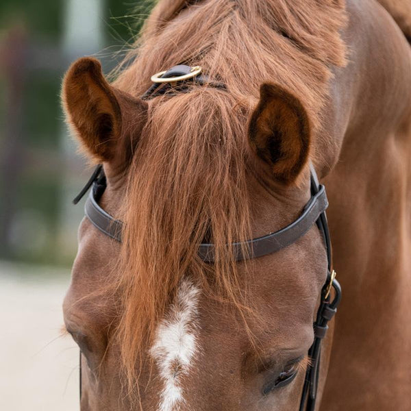 One Equestrian trinse med tøyler brun